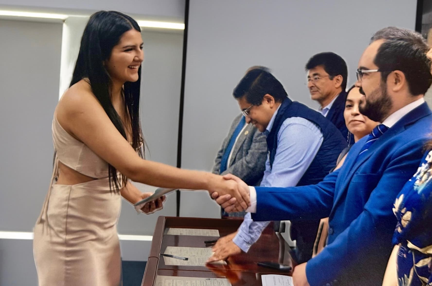 Presenting project to colleagues